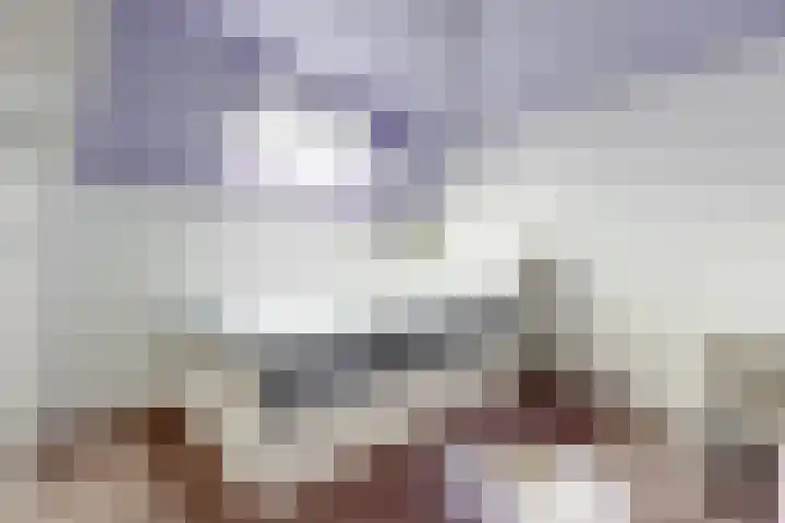 Bogerdlaan 7 Limmen thumbnail 37