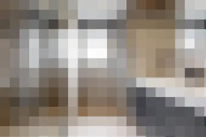 Bogerdlaan 7 Limmen thumbnail 40