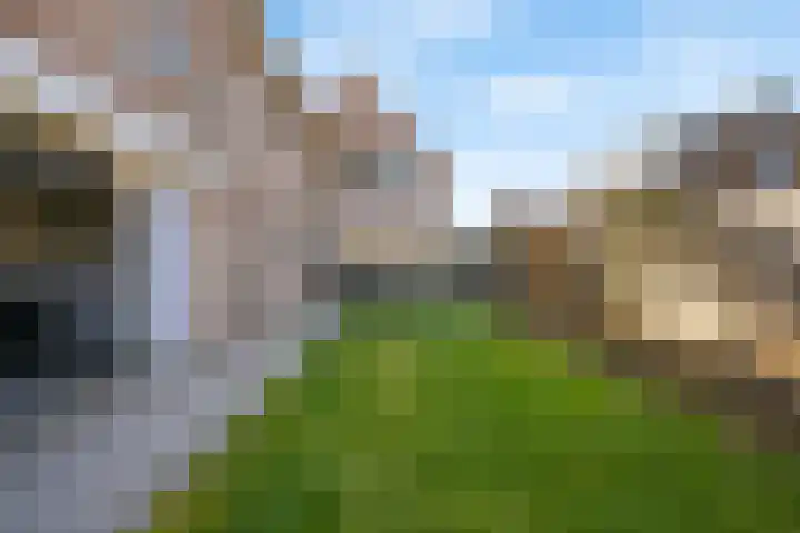 Bogerdlaan 7 Limmen thumbnail 5