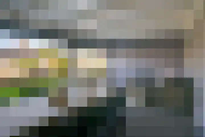 Bogerdlaan 7 Limmen thumbnail 52
