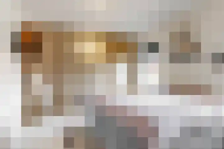 Bogerdlaan 8 Limmen thumbnail 23