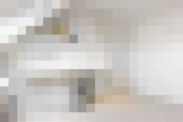 Bogerdlaan 8 Limmen thumbnail 38