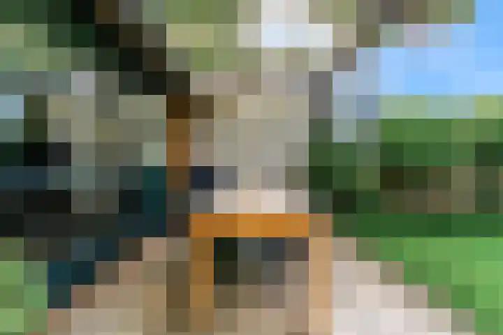 Bogerdlaan 8 Limmen thumbnail 43