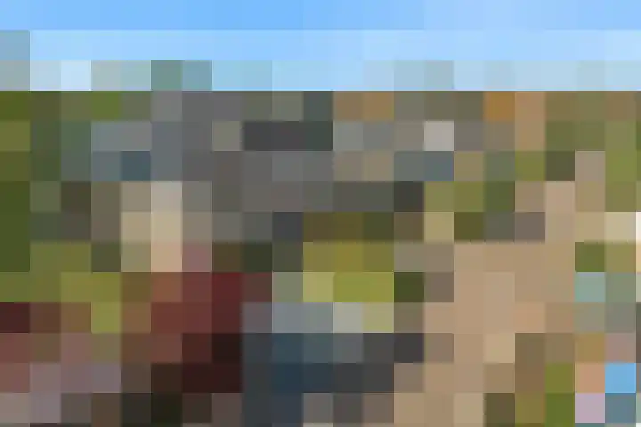 Bogerdlaan 8 Limmen thumbnail 51
