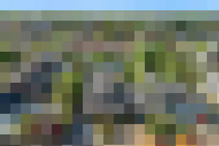 Bogerdlaan 8 Limmen thumbnail 54