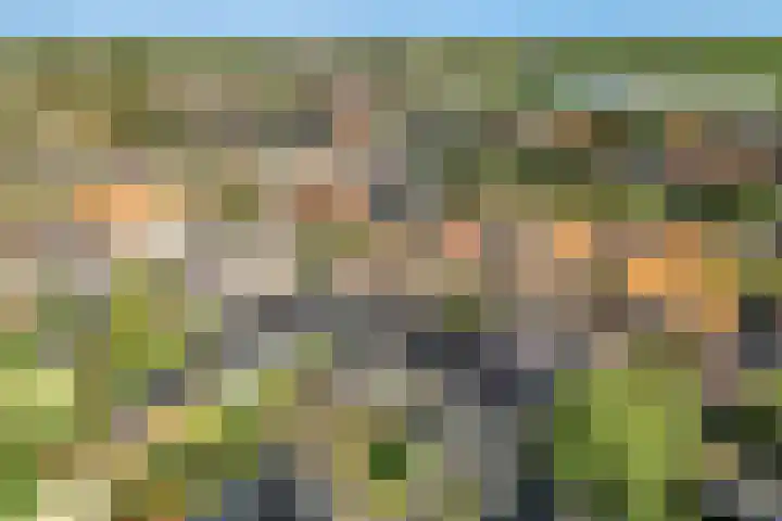 Bogerdlaan 8 Limmen thumbnail 55