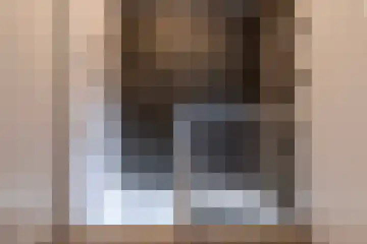 Bogerdstraat 94 Uden thumbnail 24