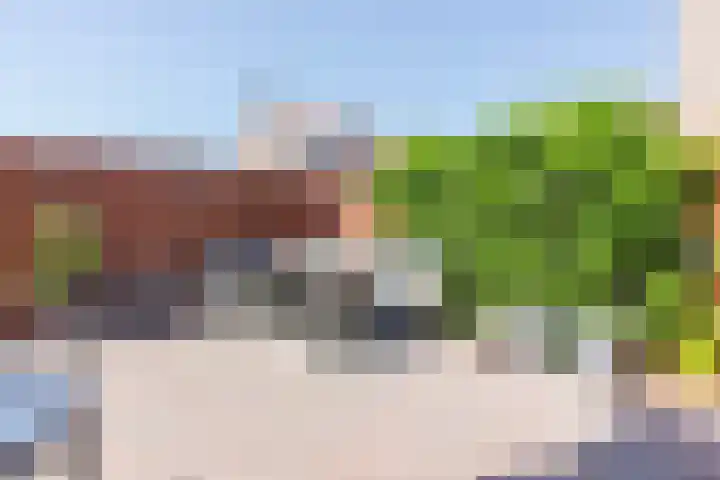 Bogerdstraat 94 Uden thumbnail 29