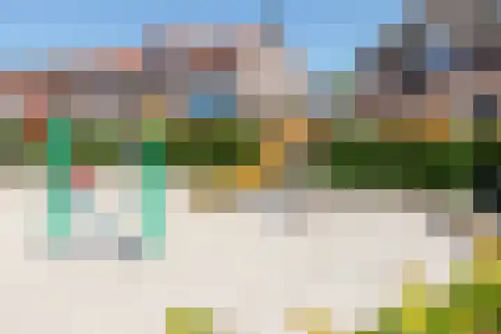 Bogerdstraat 94 Uden thumbnail 33