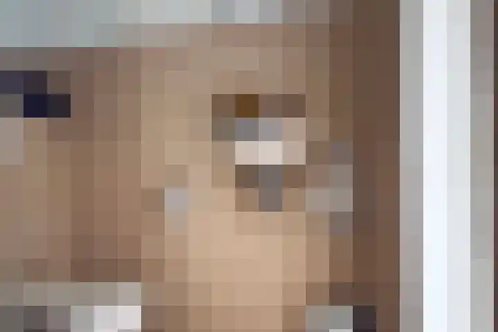 Bogerdstraat 94 Uden thumbnail 5