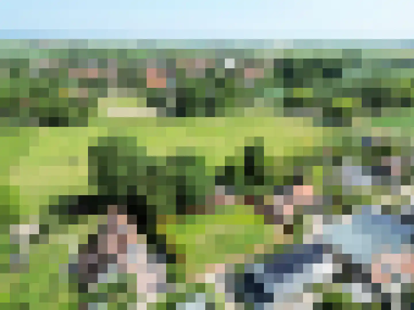 Bogerdweg 12 a Dreischor thumbnail 4