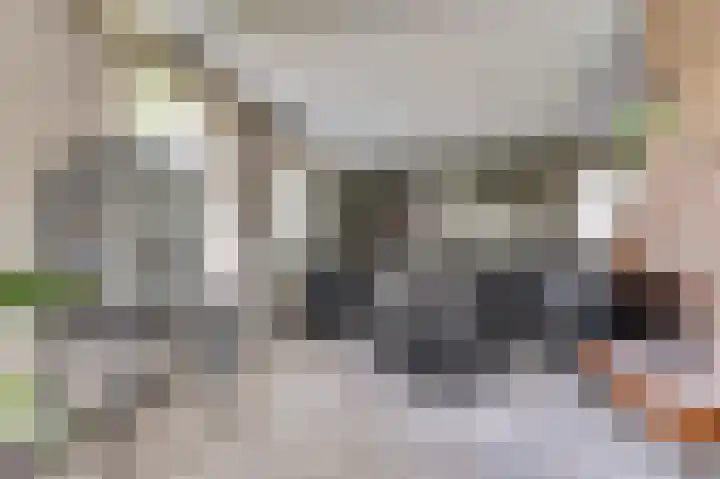 Bogerdweg 37 Dreischor thumbnail 10