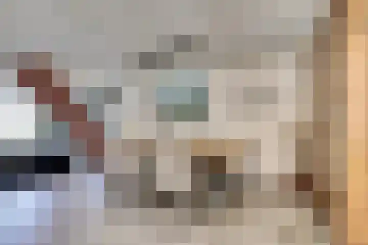Bogerdweg 37 Dreischor thumbnail 14
