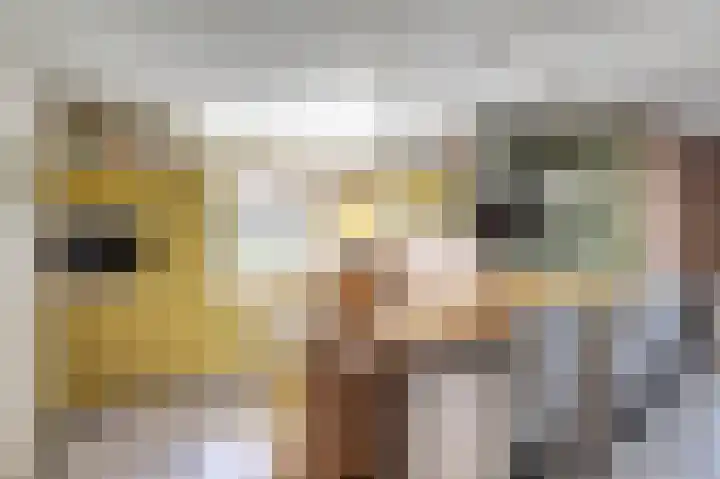 Bogerdweg 37 Dreischor thumbnail 16
