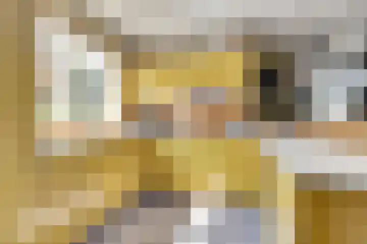 Bogerdweg 37 Dreischor thumbnail 17