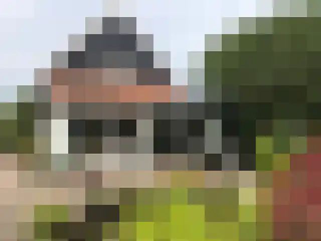 Bogerdweg 37 Dreischor thumbnail 22