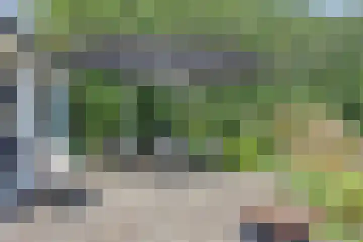 Bogerdweg 37 Dreischor thumbnail 23
