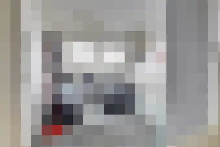 Bogerdweg 37 Dreischor thumbnail 31