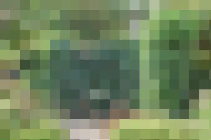 Bogerdweg 37 Dreischor thumbnail 37