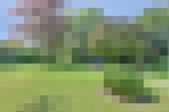 Bogerdweg 37 Dreischor thumbnail 38