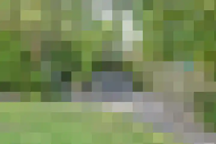 Bogerdweg 37 Dreischor thumbnail 39
