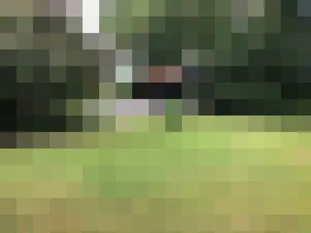 Bogerdweg 37 Dreischor thumbnail 41