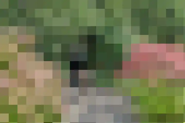 Bogerdweg 37 Dreischor thumbnail 42