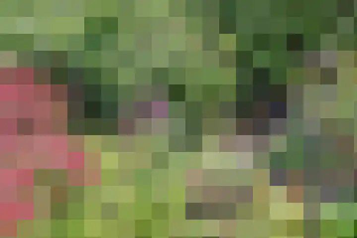 Bogerdweg 37 Dreischor thumbnail 43