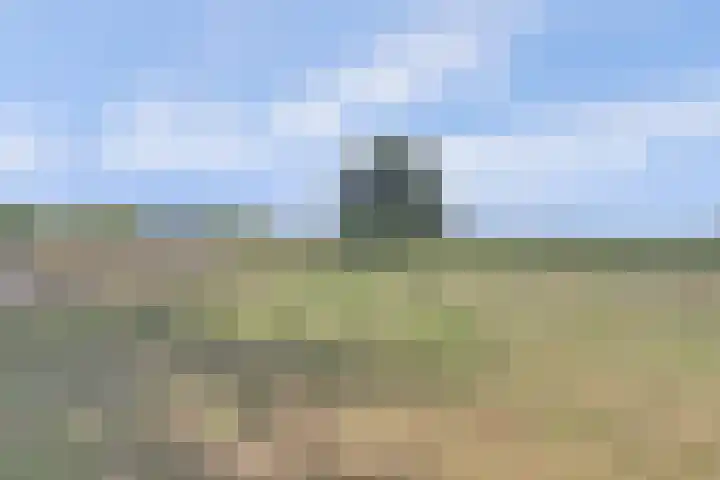 Bogerdweg 37 Dreischor thumbnail 45