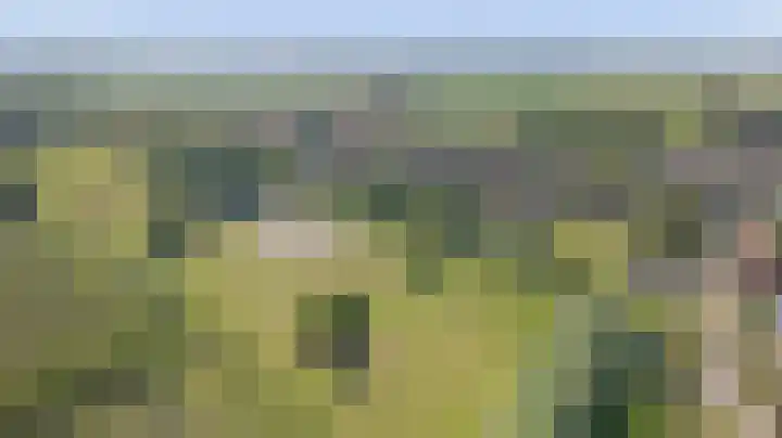 Bogerdweg 37 Dreischor thumbnail 46