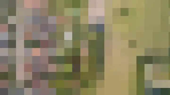 Bogerdweg 37 Dreischor thumbnail 47