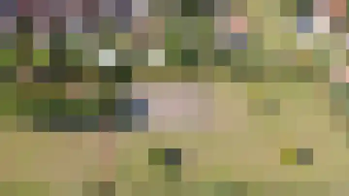 Bogerdweg 37 Dreischor thumbnail 48