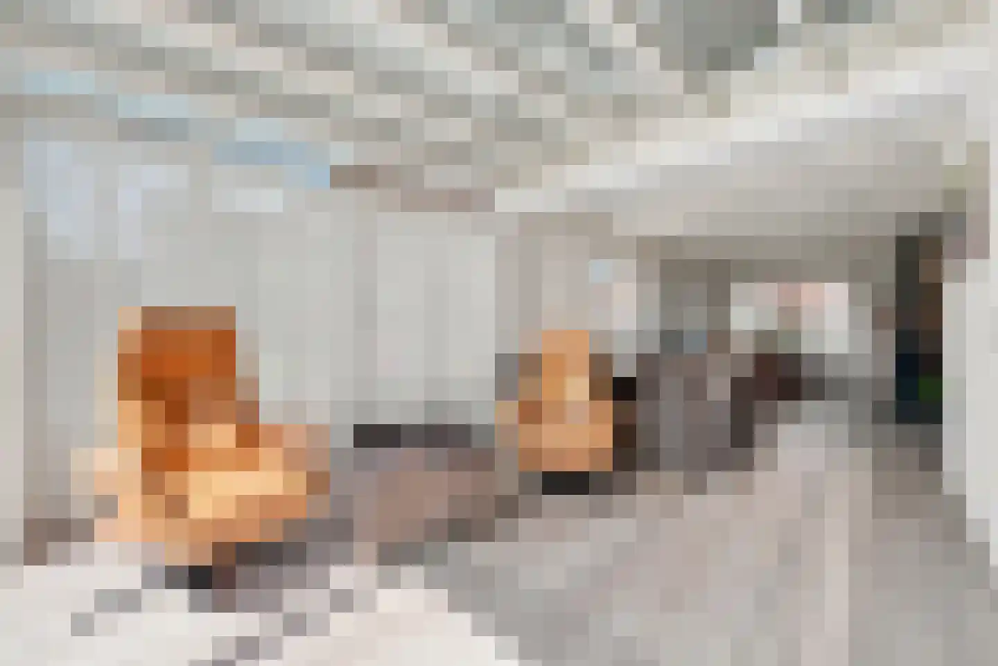 Bogerdweie 37 Serooskerke thumbnail 10
