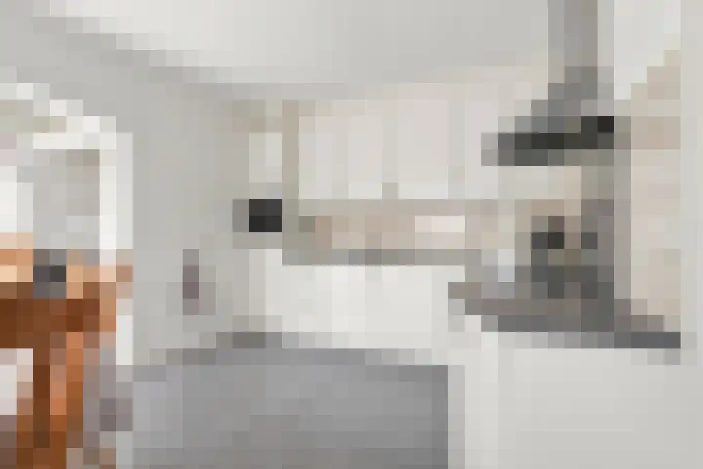 Bogerdweie 37 Serooskerke thumbnail 12