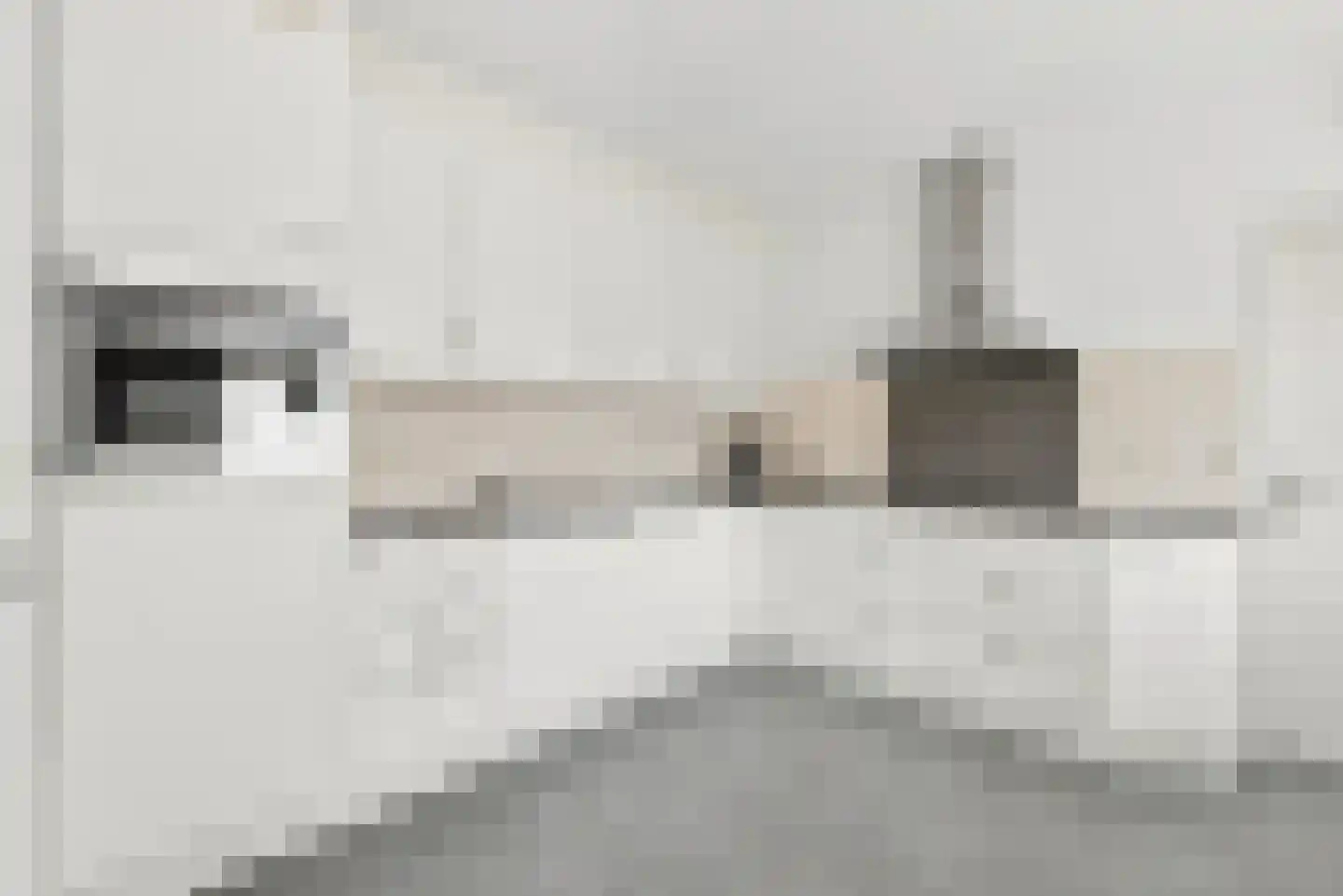 Bogerdweie 37 Serooskerke thumbnail 14