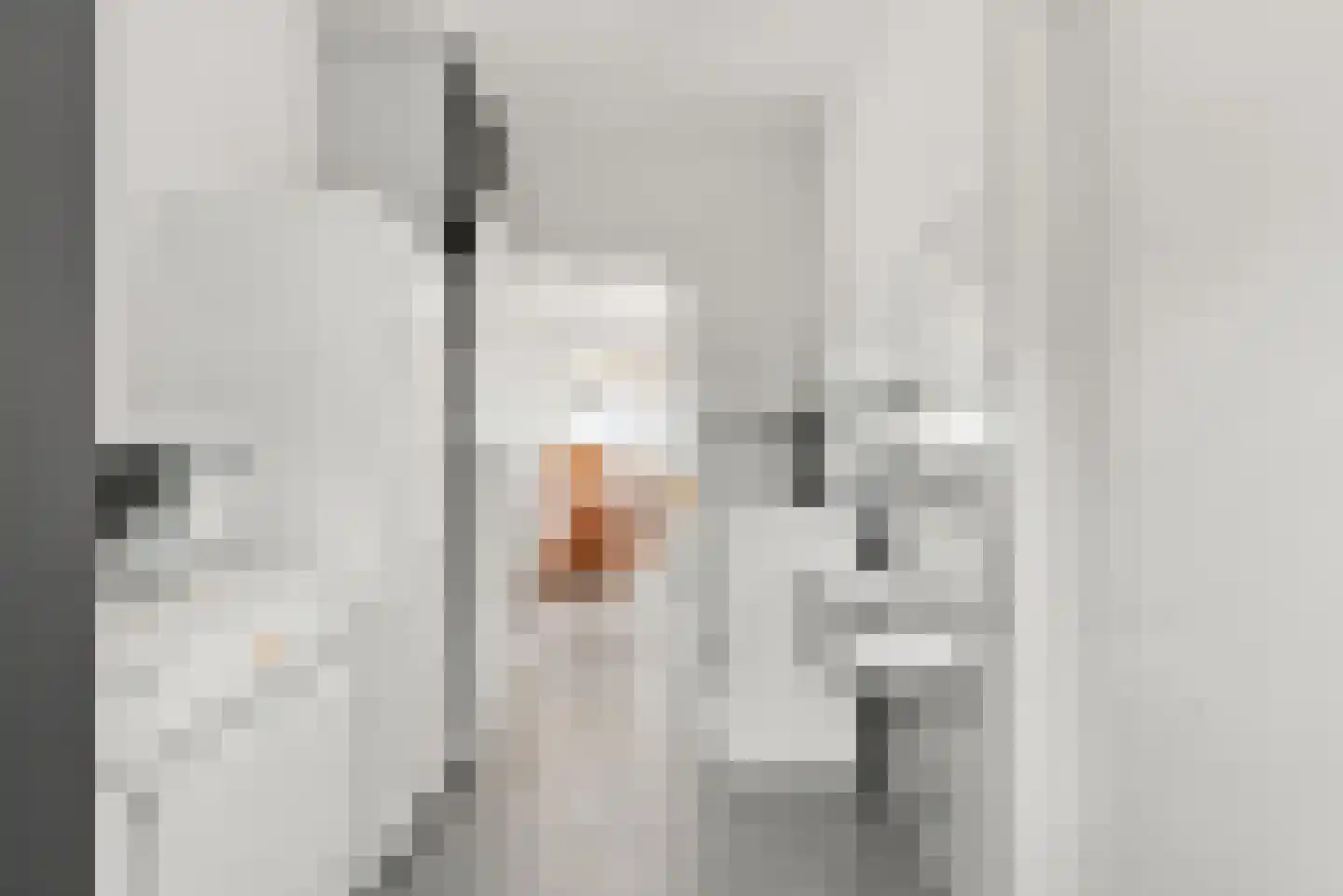 Bogerdweie 37 Serooskerke thumbnail 15