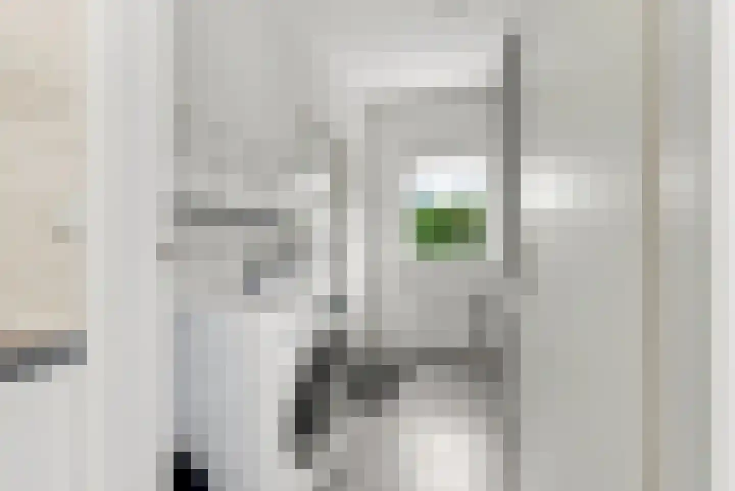 Bogerdweie 37 Serooskerke thumbnail 16