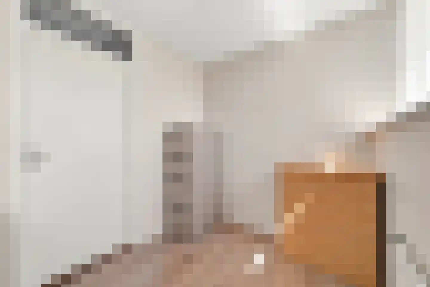 Bogerdweie 37 Serooskerke thumbnail 21