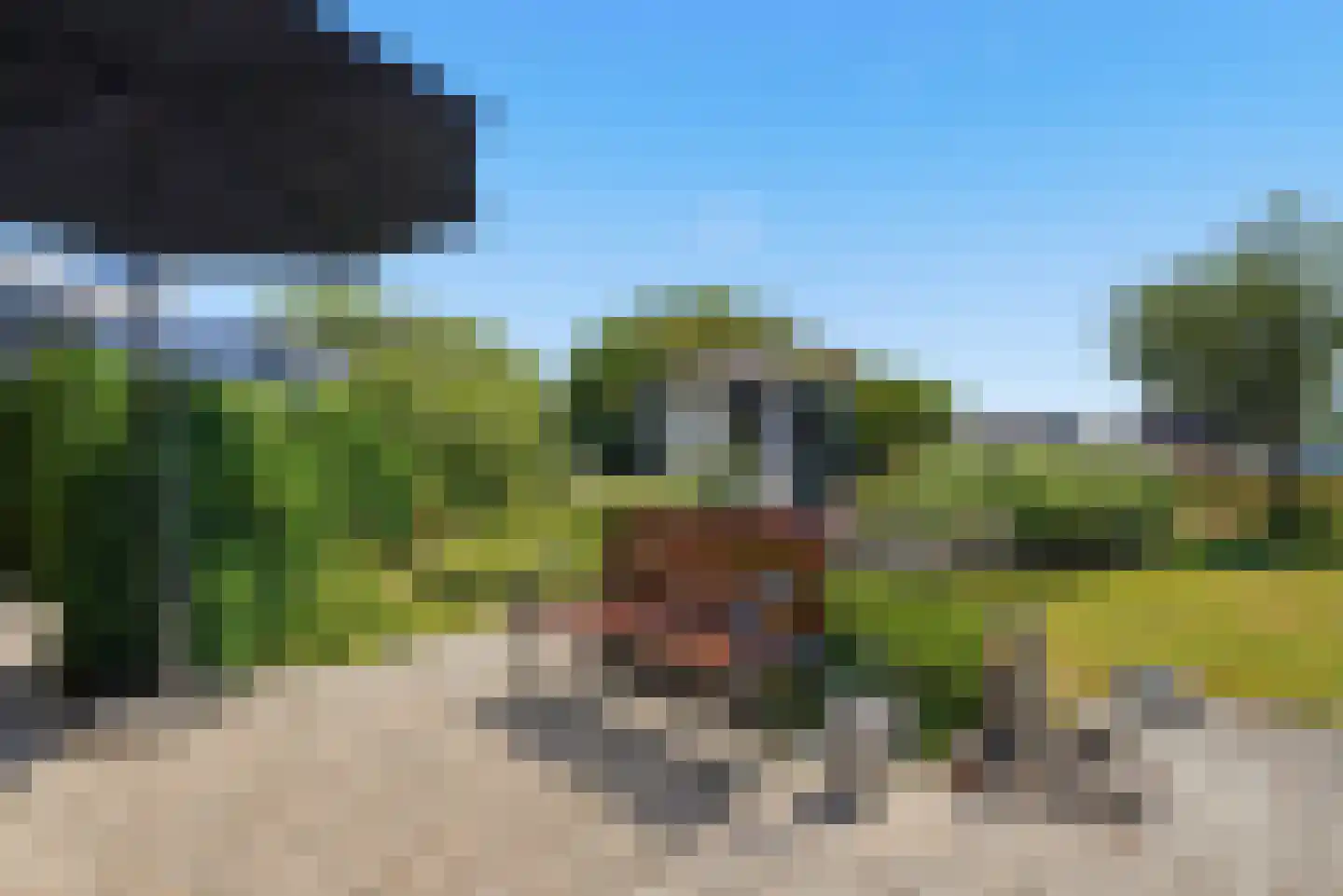 Bogerdweie 37 Serooskerke thumbnail 33