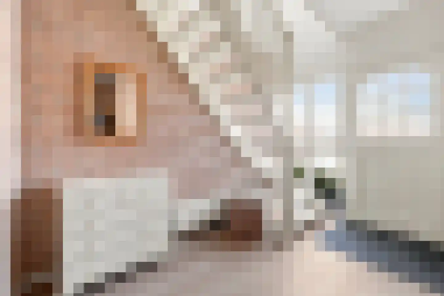 Bogerdweie 37 Serooskerke thumbnail 4