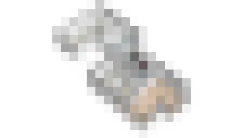 Bogermanstraat 5 Balk thumbnail 38