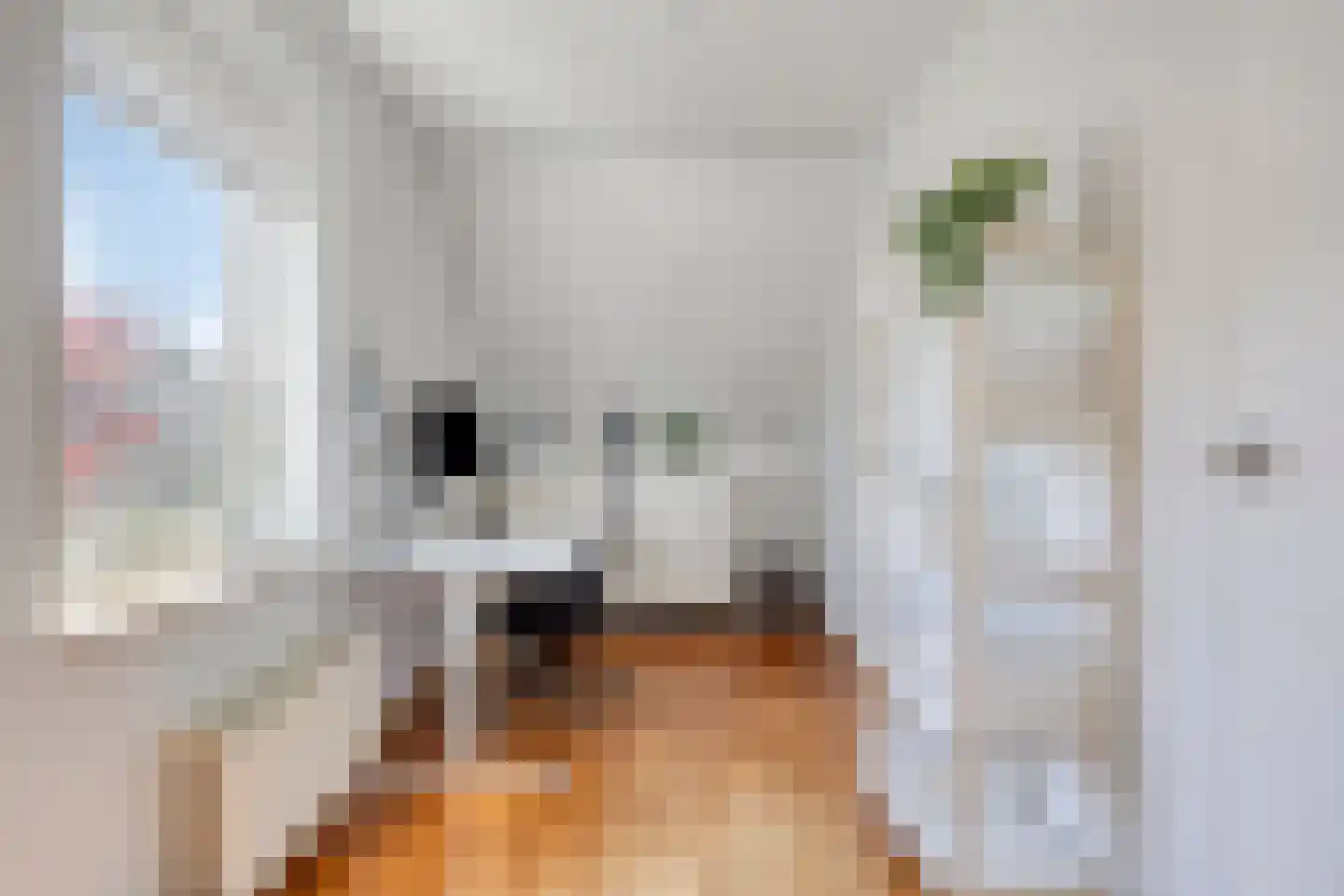 Bogert 17 Haaften thumbnail 31