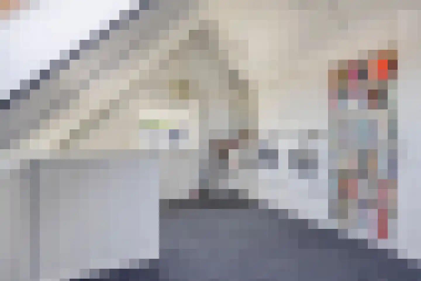 Bogert 17 Haaften thumbnail 33