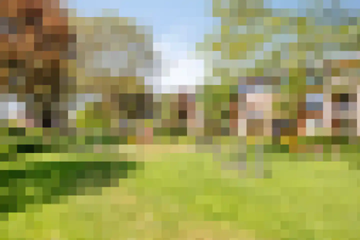 Bogert 17 Haaften thumbnail 47