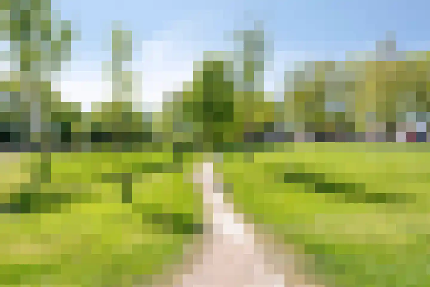 Bogert 17 Haaften thumbnail 48