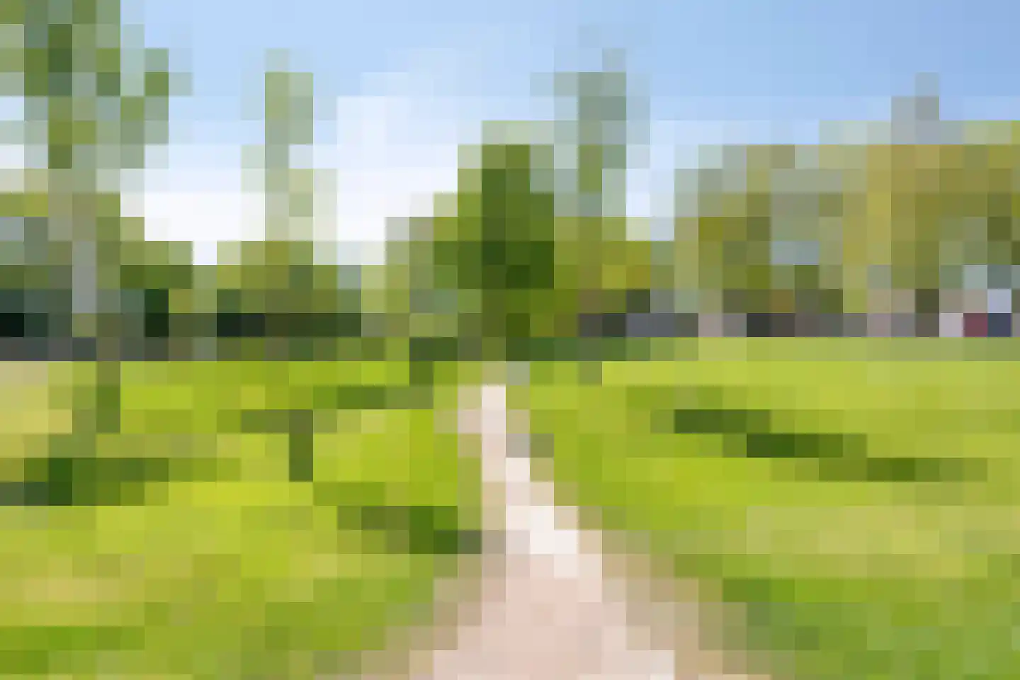 Bogert 17 Haaften thumbnail 49