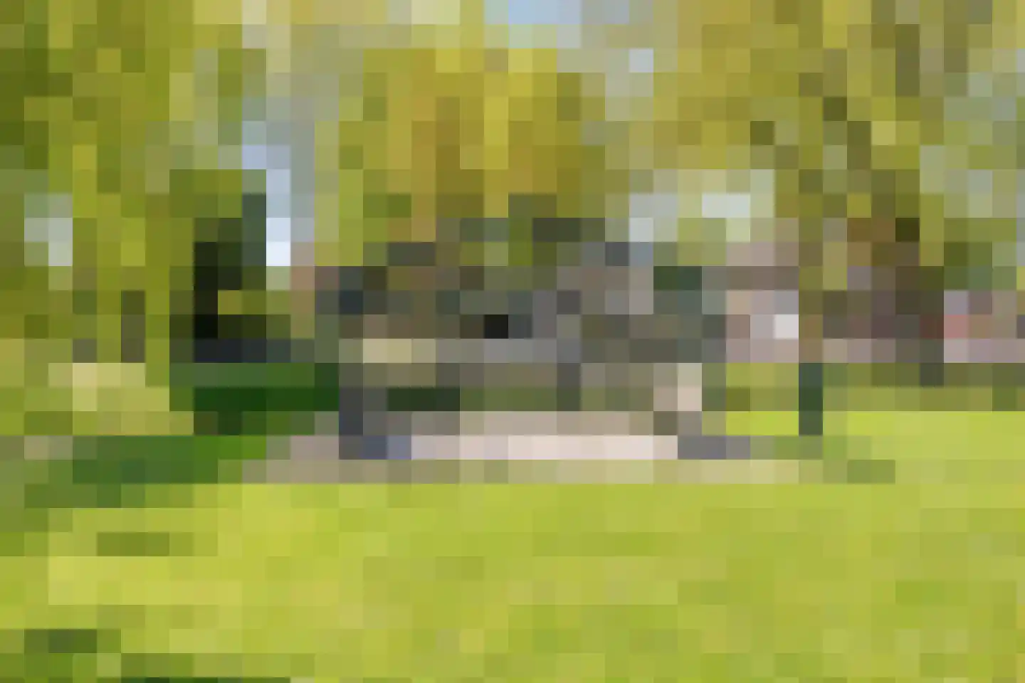 Bogert 17 Haaften thumbnail 50