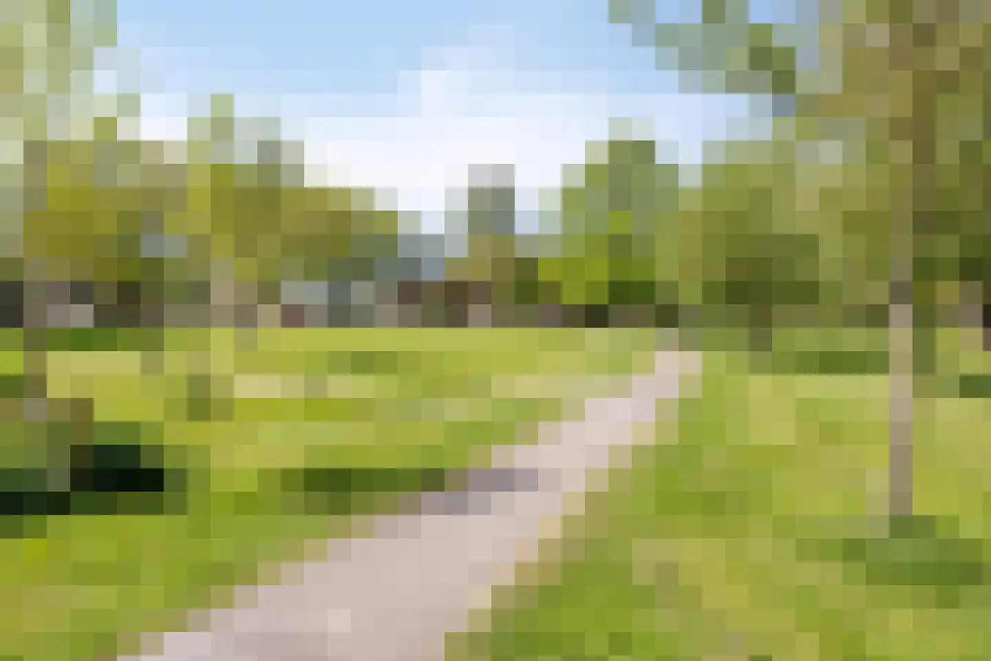 Bogert 17 Haaften thumbnail 50
