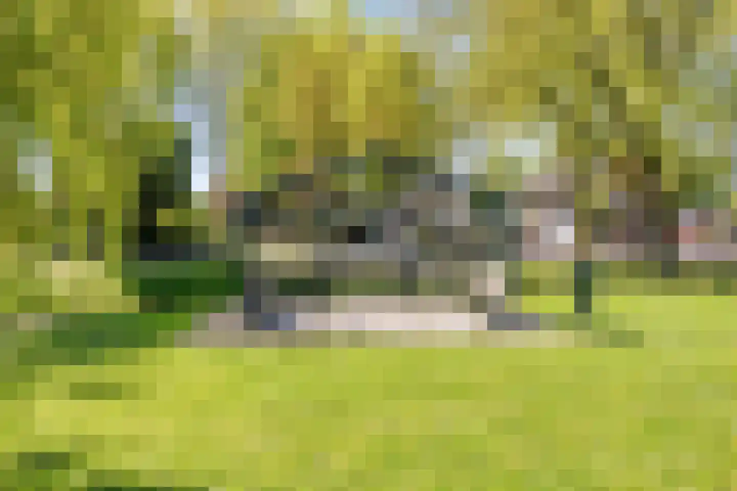 Bogert 17 Haaften thumbnail 51