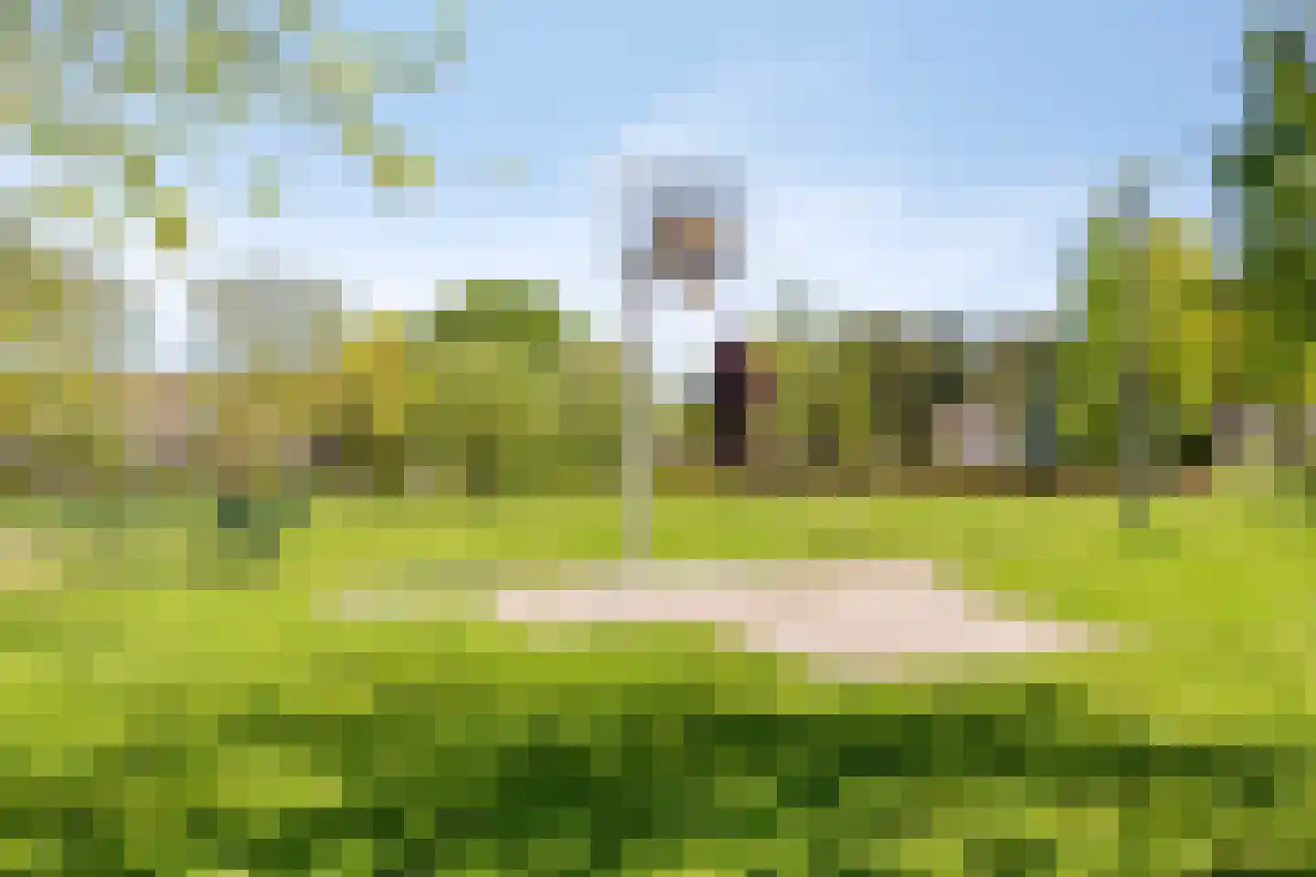Bogert 17 Haaften thumbnail 52